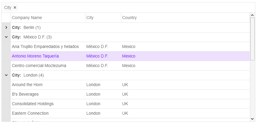 Angular Grid Filter Row