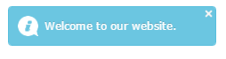angular notification