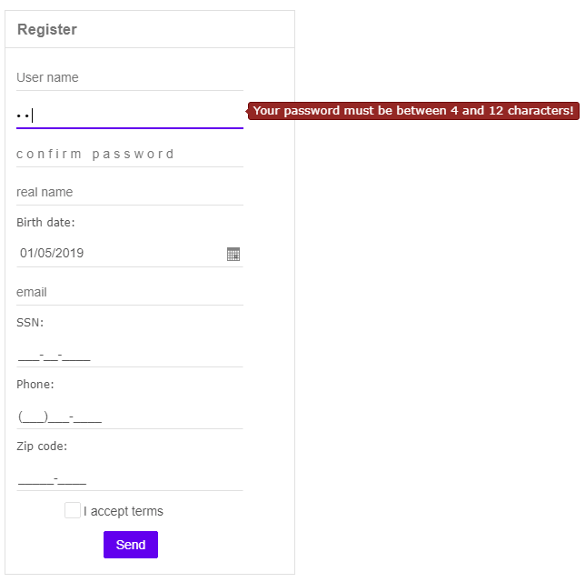 angular validator