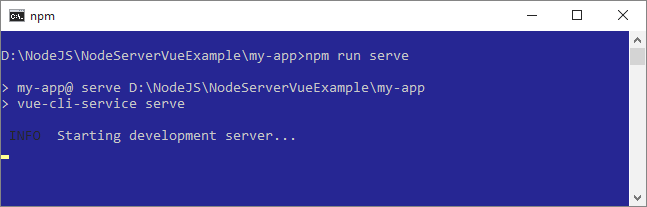 Vue.js Running